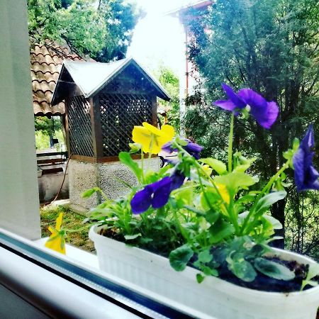 Maslina Rooms Smederevo Buitenkant foto