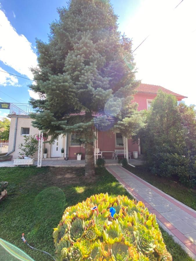 Maslina Rooms Smederevo Buitenkant foto