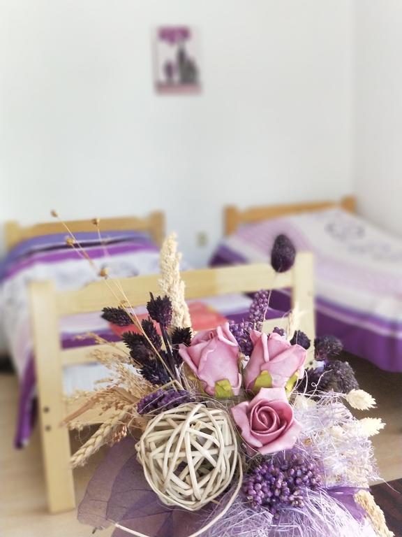 Maslina Rooms Smederevo Buitenkant foto