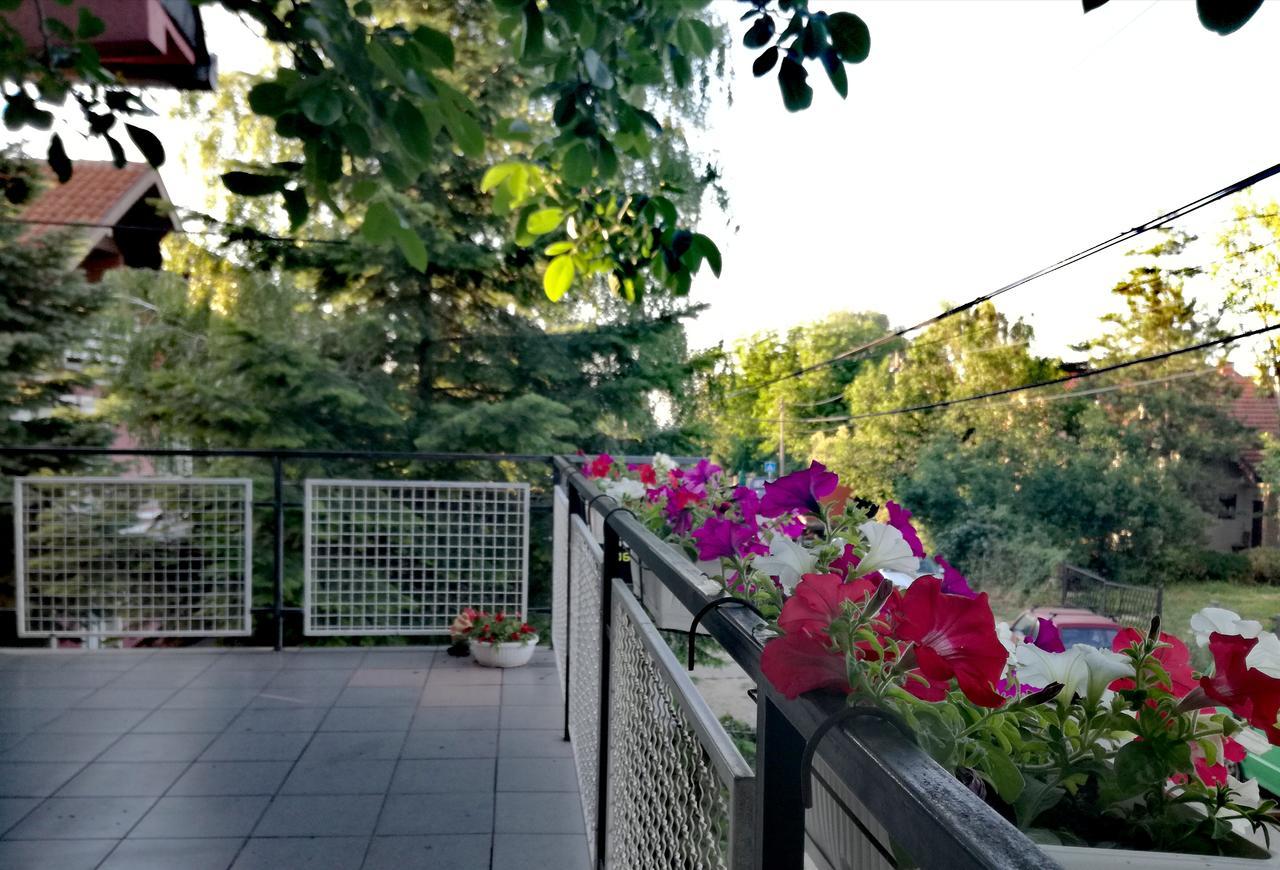 Maslina Rooms Smederevo Buitenkant foto
