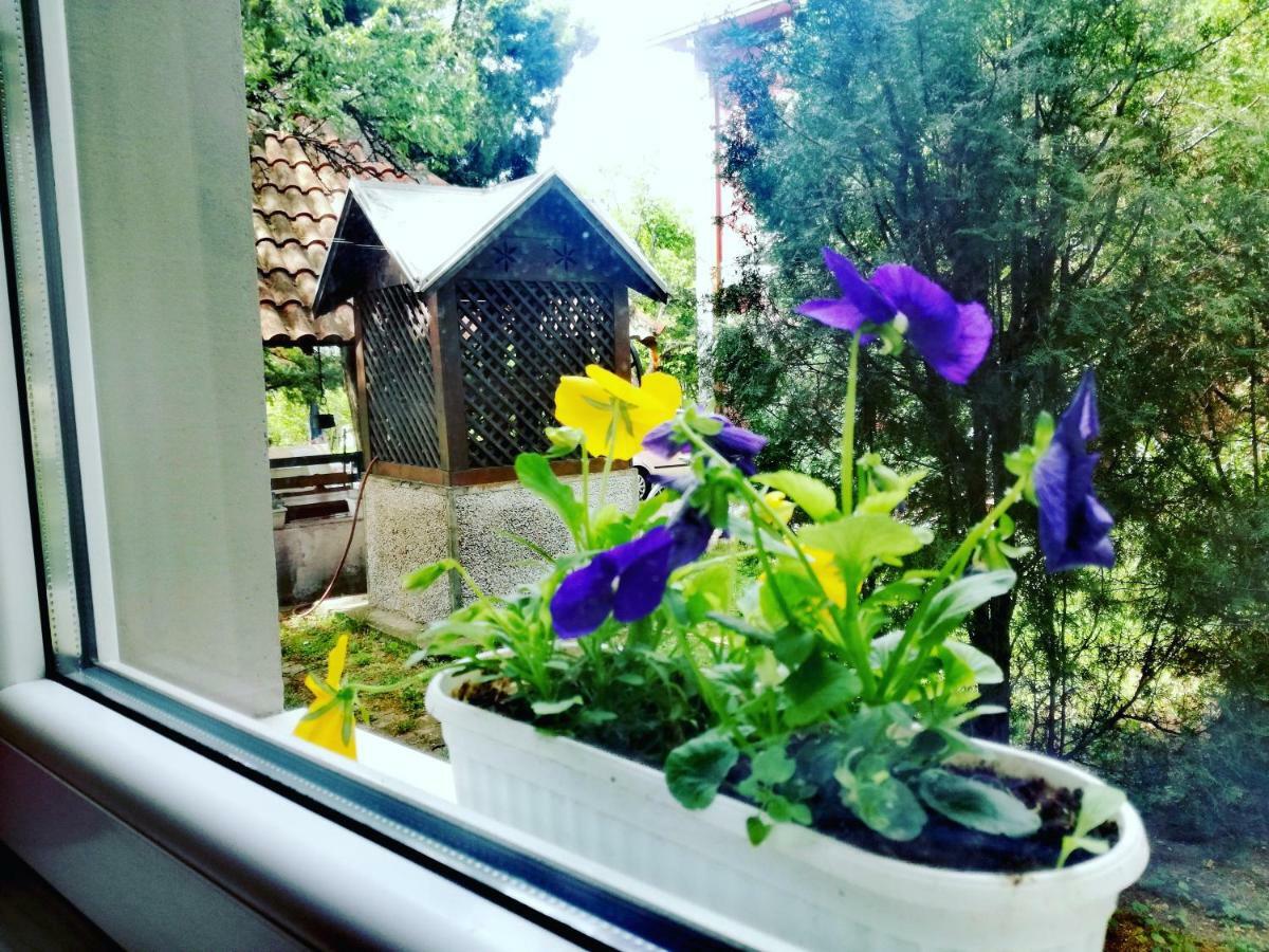 Maslina Rooms Smederevo Buitenkant foto